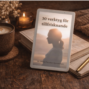 30 verktyg för tillfrisknande Ebok (PDF)